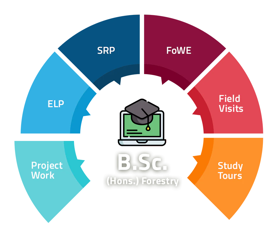 B.Sc. Forestry