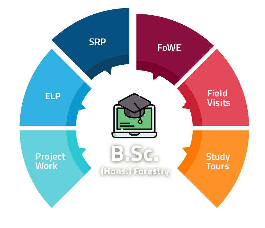 B.Sc. Forestry