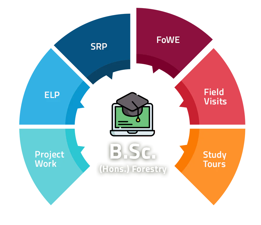 B.Sc. Forestry