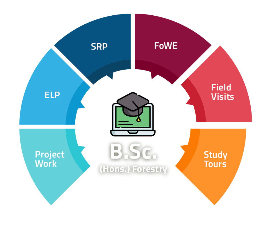 B.Sc. Forestry