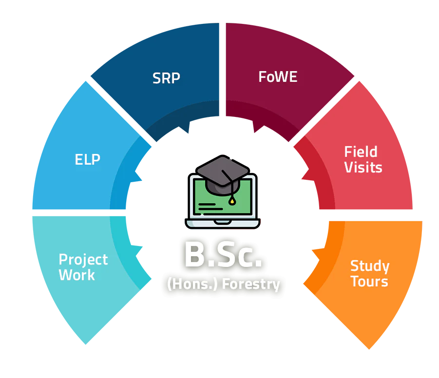 B.Sc. Forestry