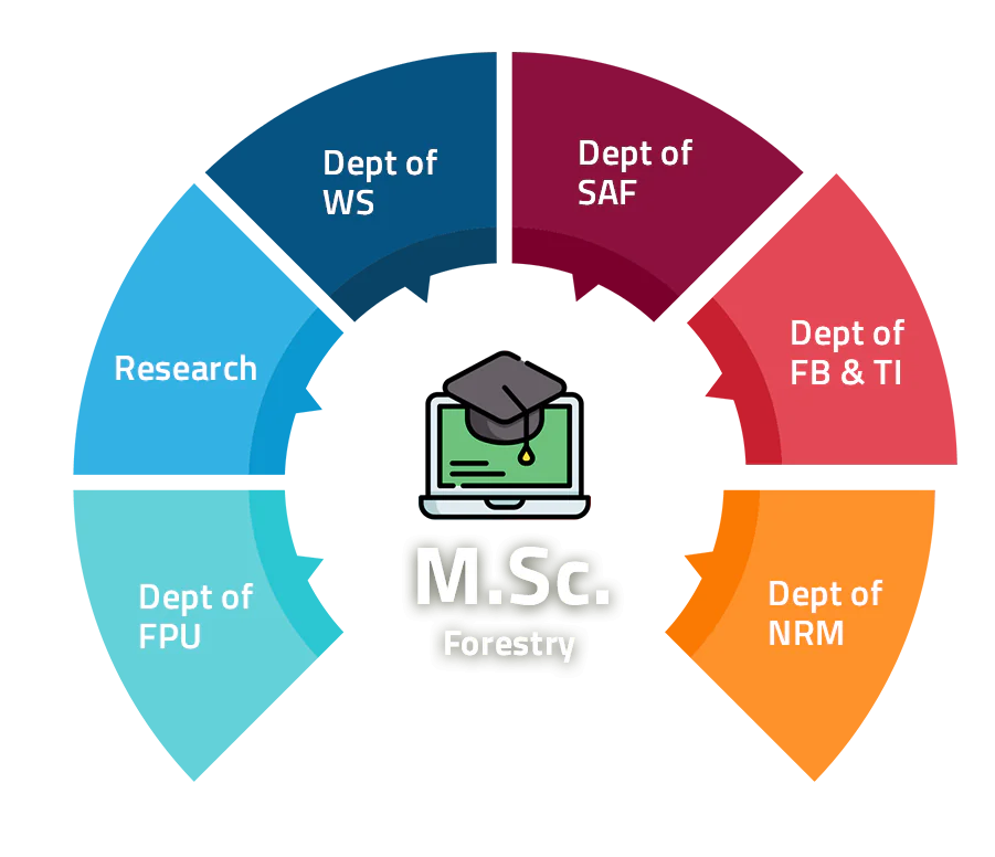 mscforestry